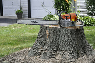 Miller's Tree Service - Offering Stump Grinding Services In Sparta, WI